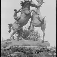 photo of the fighting stallions statue